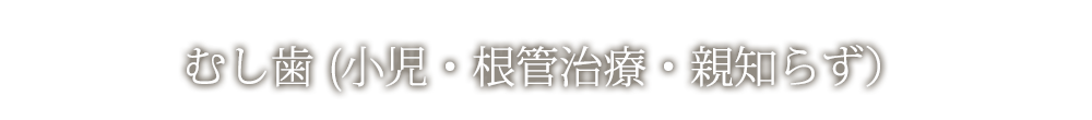 むし歯 (小児・根管治療・親知らず）